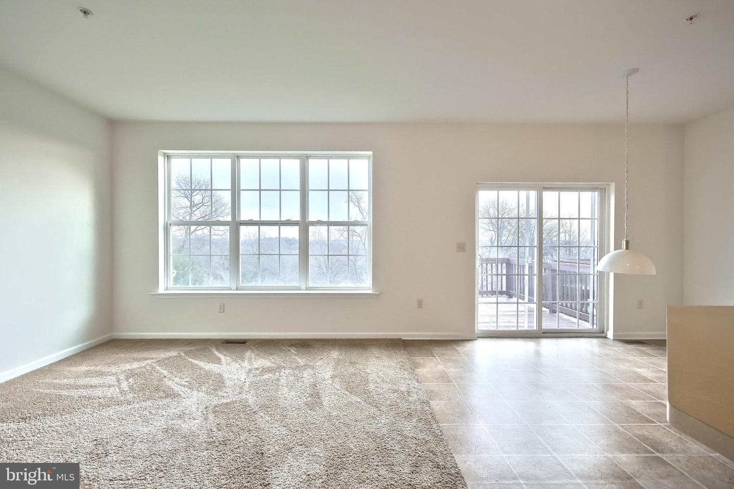2222 Live Oak Lane #2222 photo 13