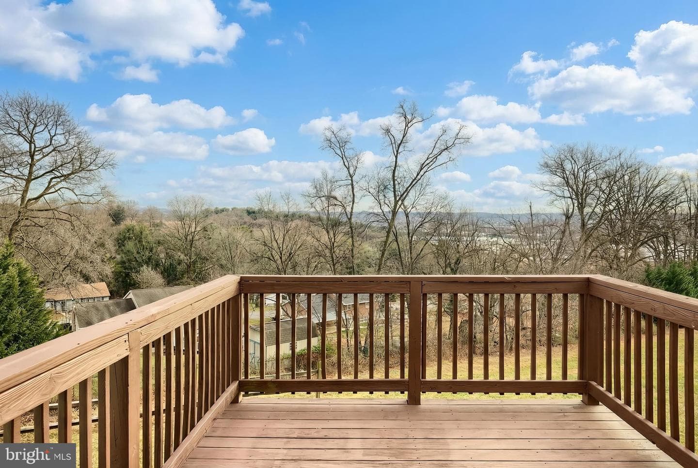 2222 Live Oak Lane #2222 photo 4
