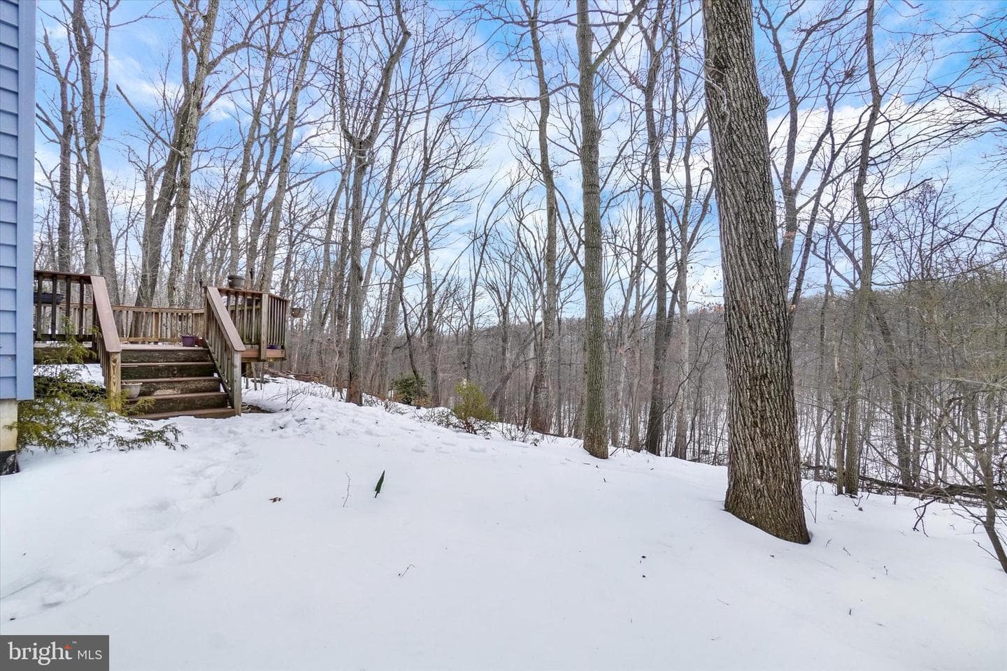 4219 Leann Drive photo 23