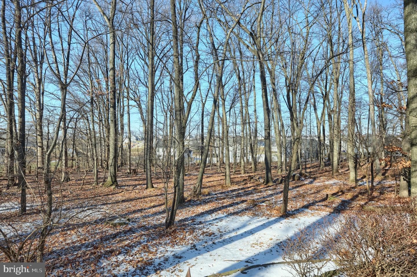4205 Grandview Road photo 24
