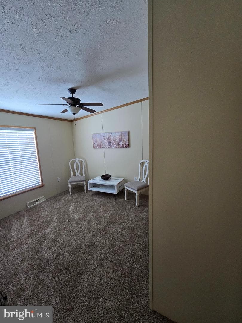 118 Lisa Circle photo 10