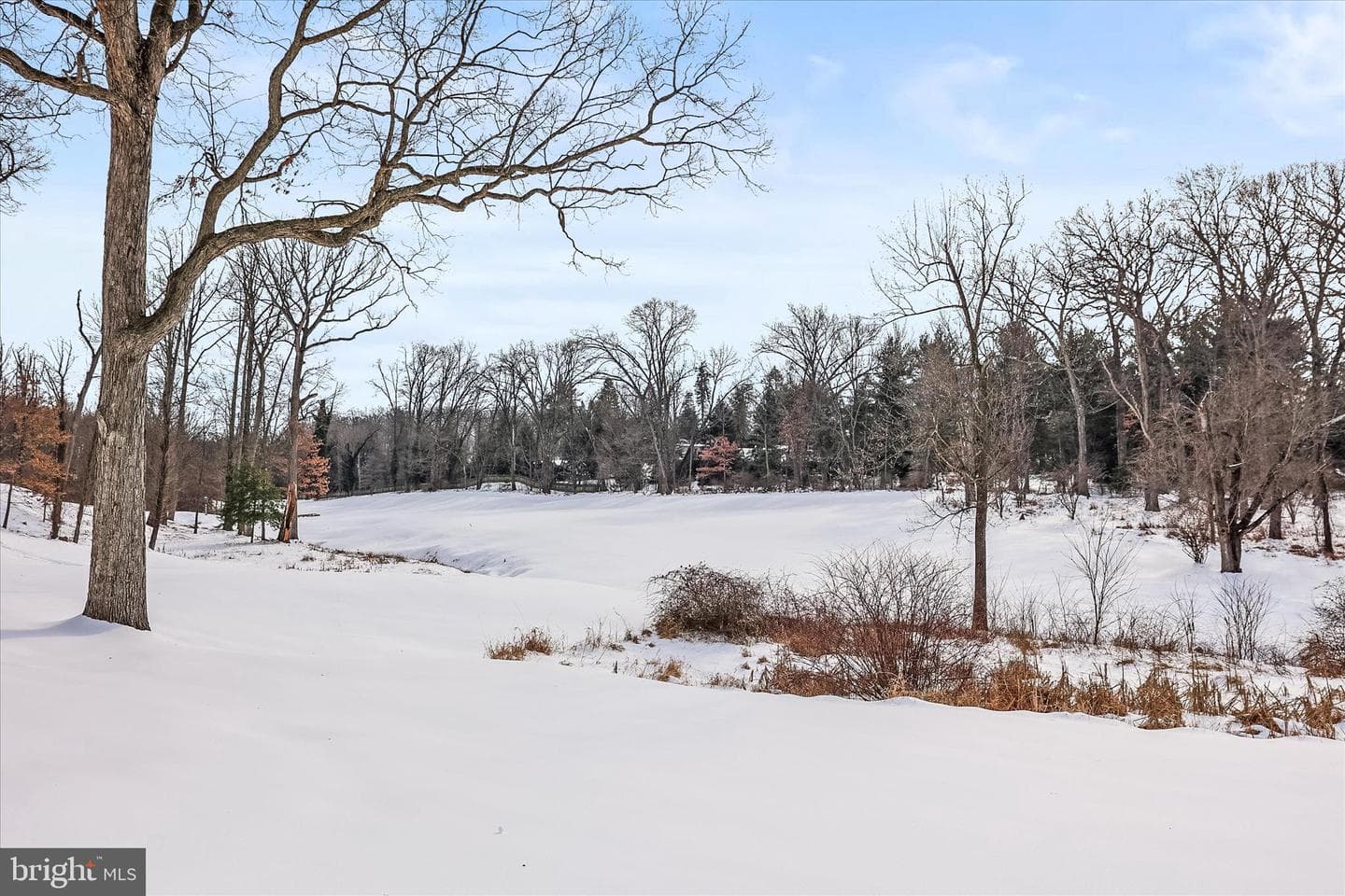 1265 Elderslie Lane photo 44