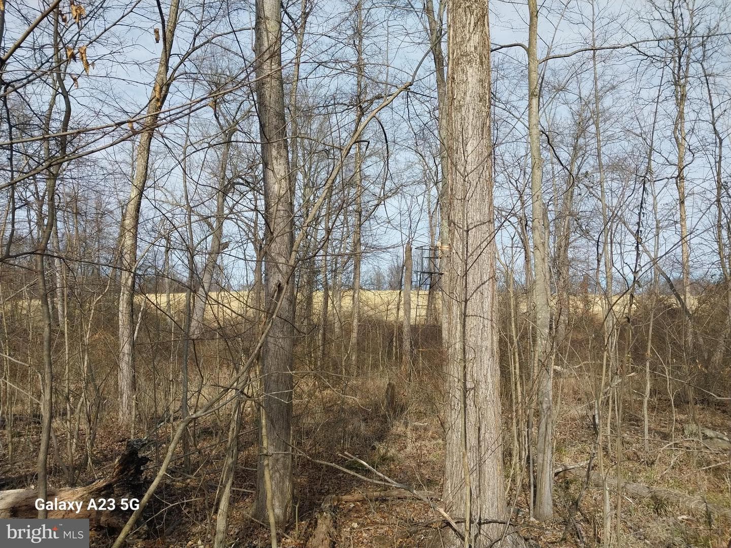 8065 Bull Road photo 26