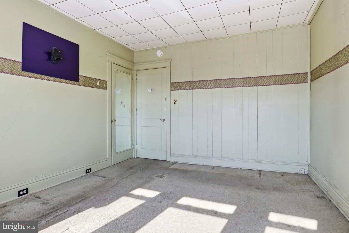 295 Kurtz Avenue photo 32