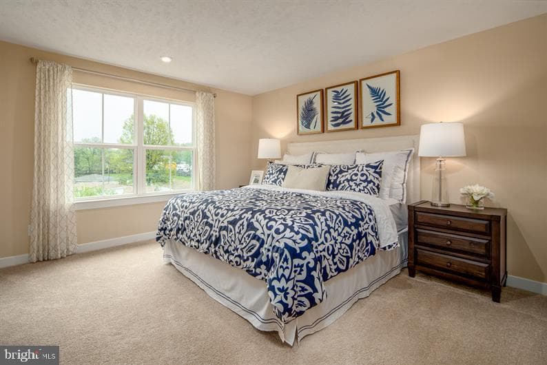 338 Ruffian Road photo 10
