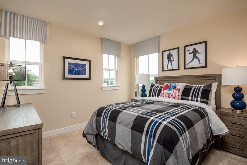 338 Ruffian Road photo 14