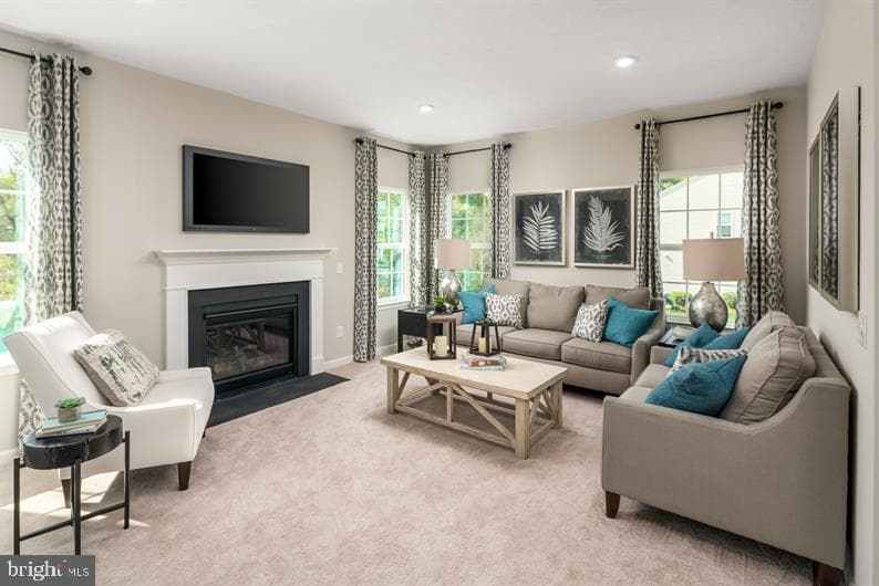 338 Ruffian Road photo 4