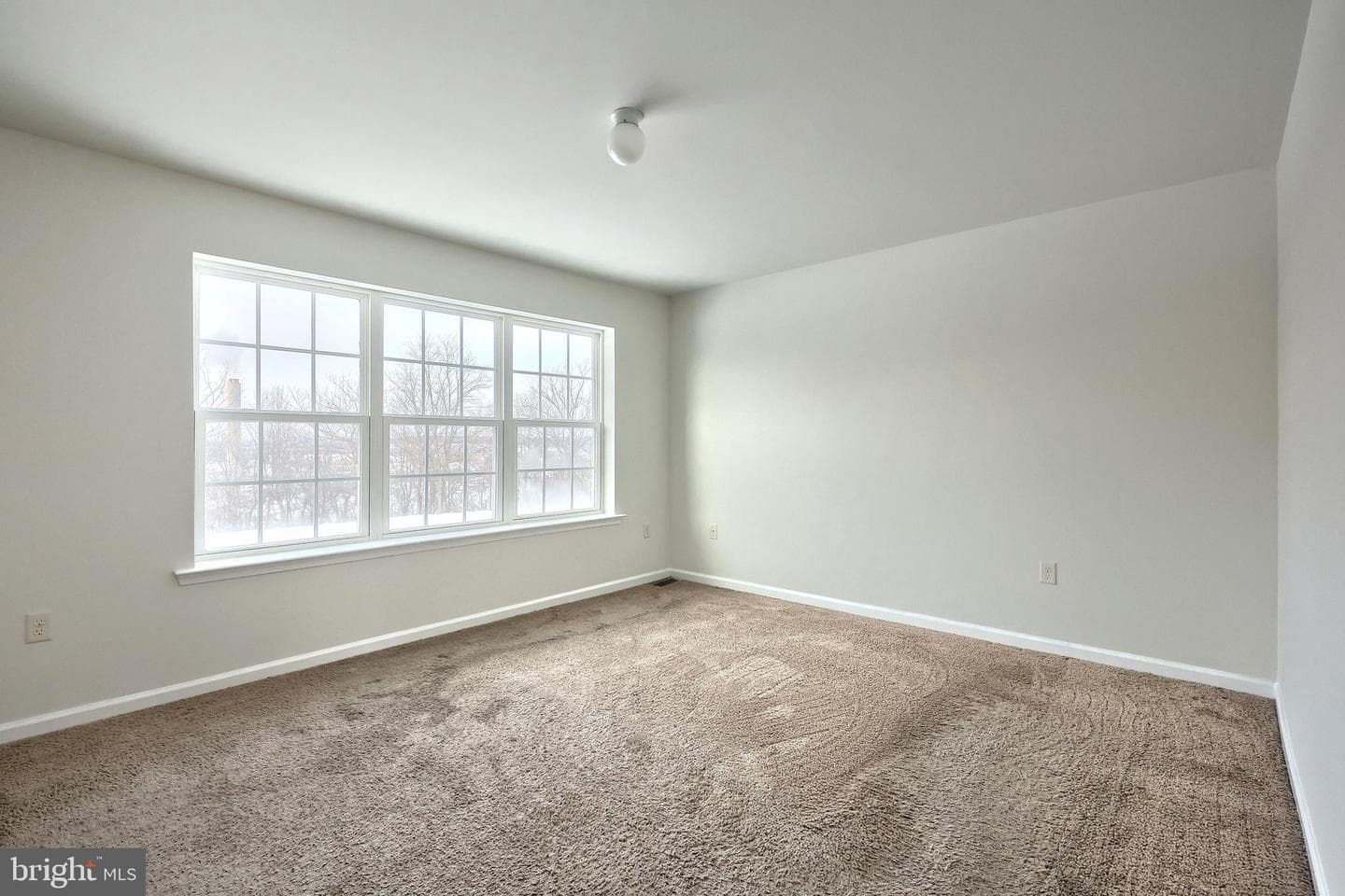 533 Marion Road #533 photo 19