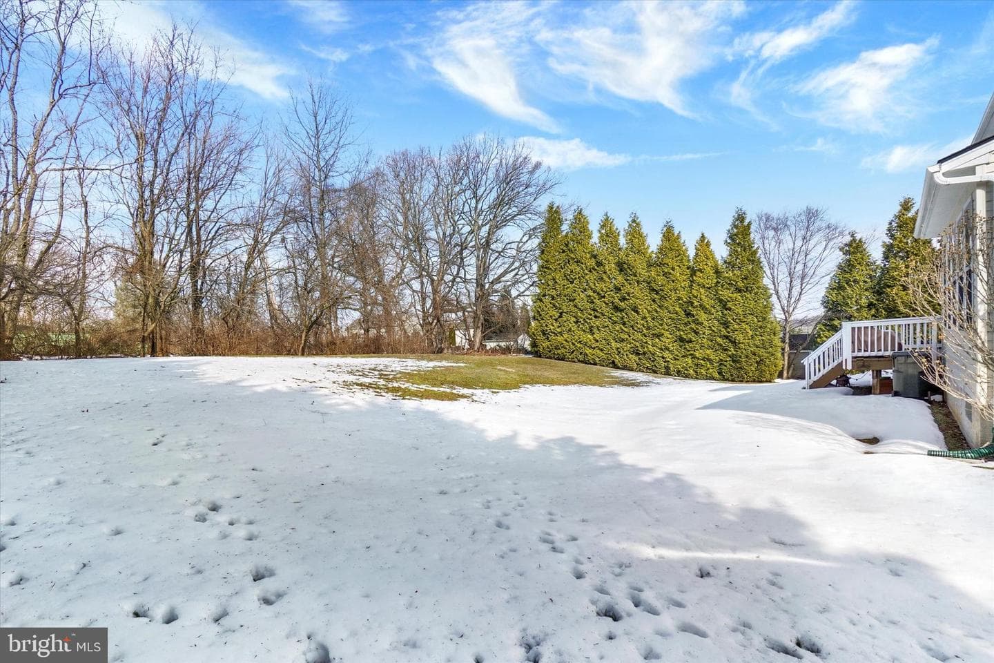 675 Clydesdale Drive photo 9