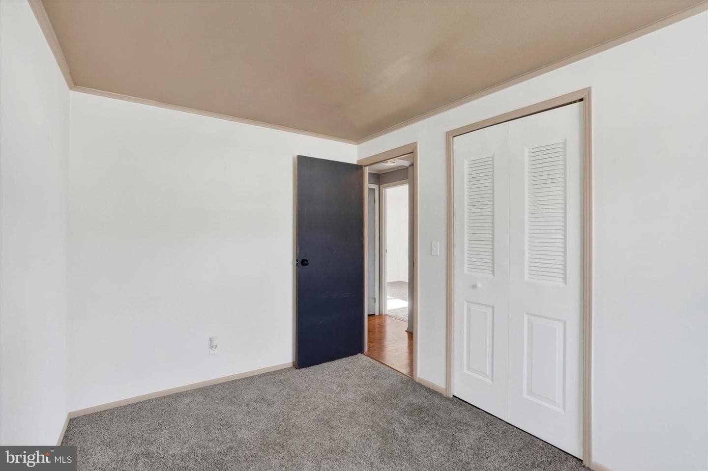 109 Maplewood Drive photo 13