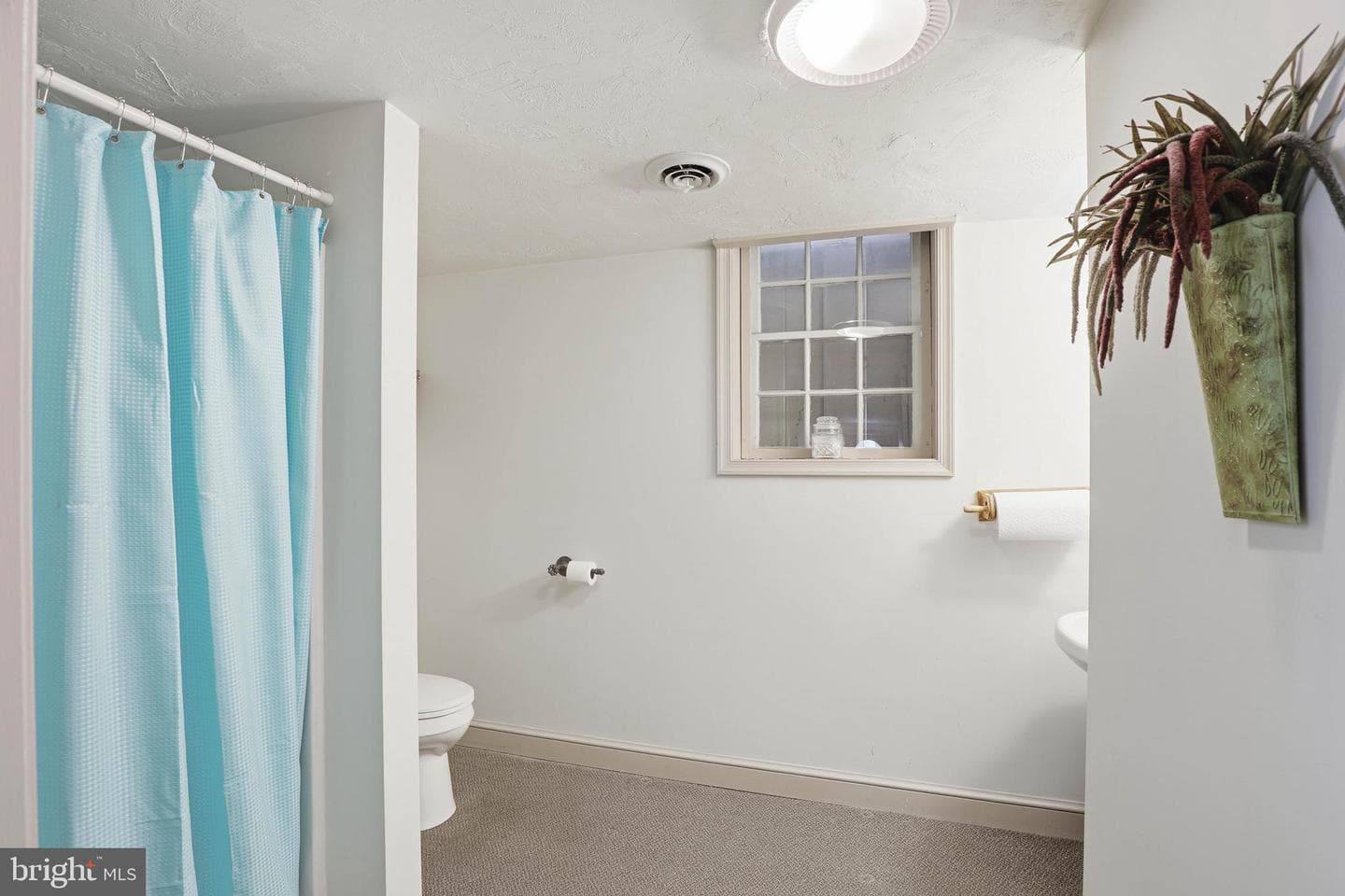 252 Frederick Street photo 72