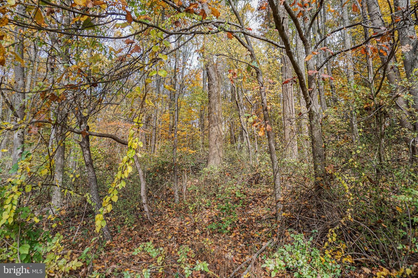 988 Kratz Road photo 92
