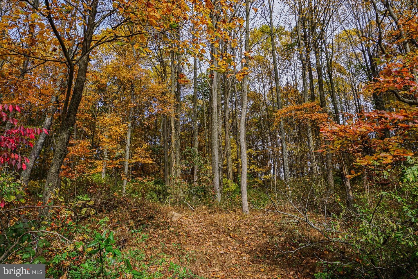 988 Kratz Road photo 93