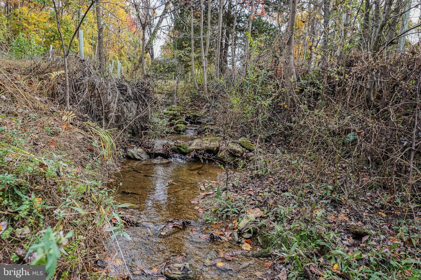 988 Kratz Road photo 98