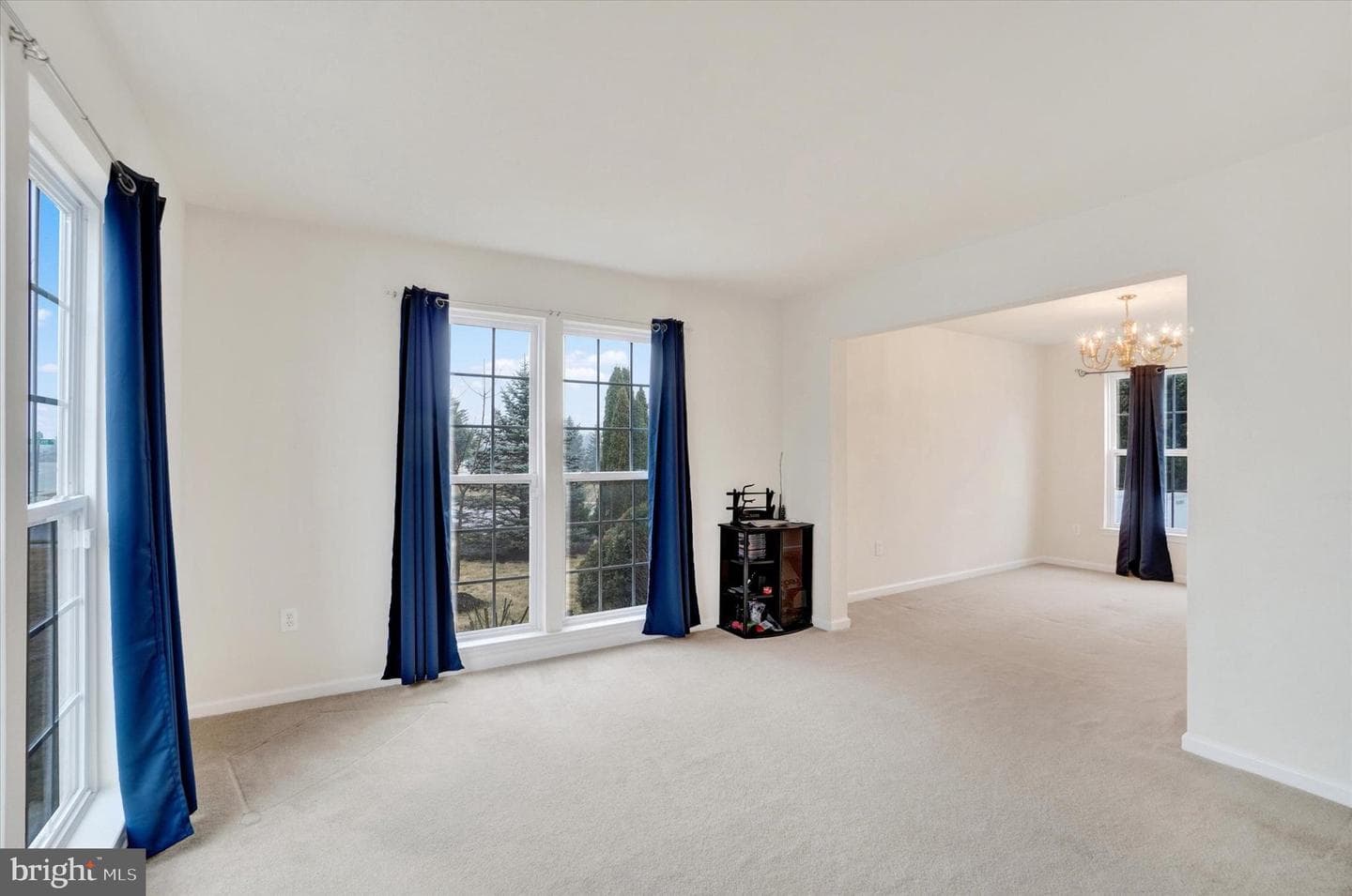 1366 Aster Drive photo 20