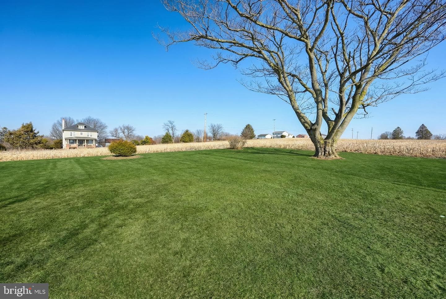525 Bahns Mill Road photo 5