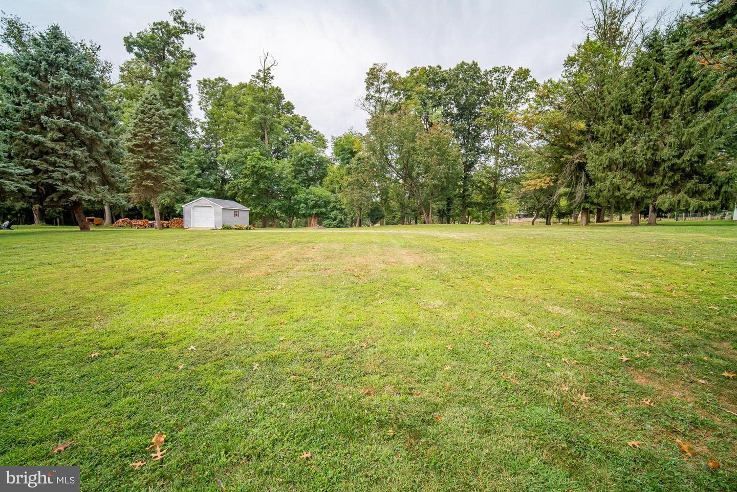 864 Elham Drive photo 2