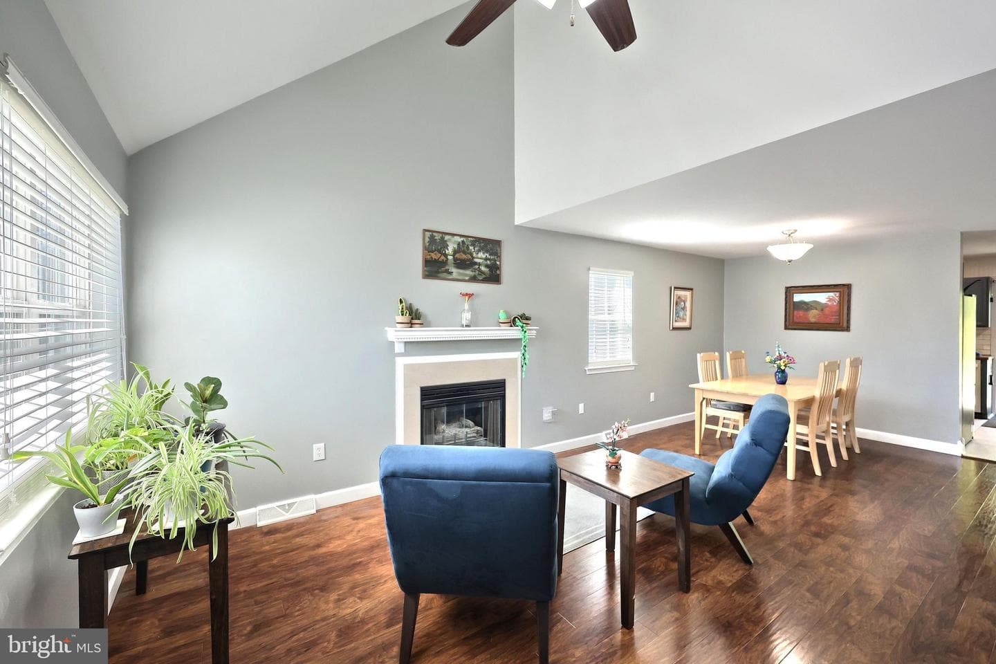 727 Blossom Hill Lane photo 9