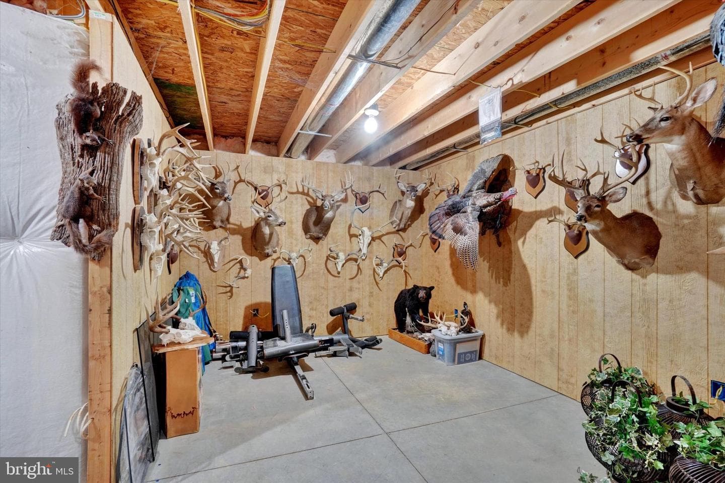 558 Rocky Rd photo 32