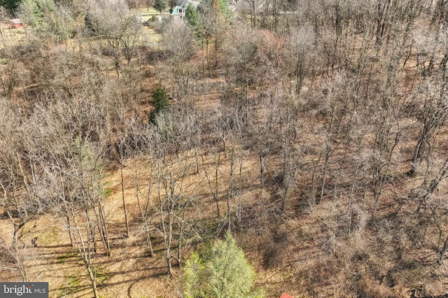 905 Chambers Road photo 16