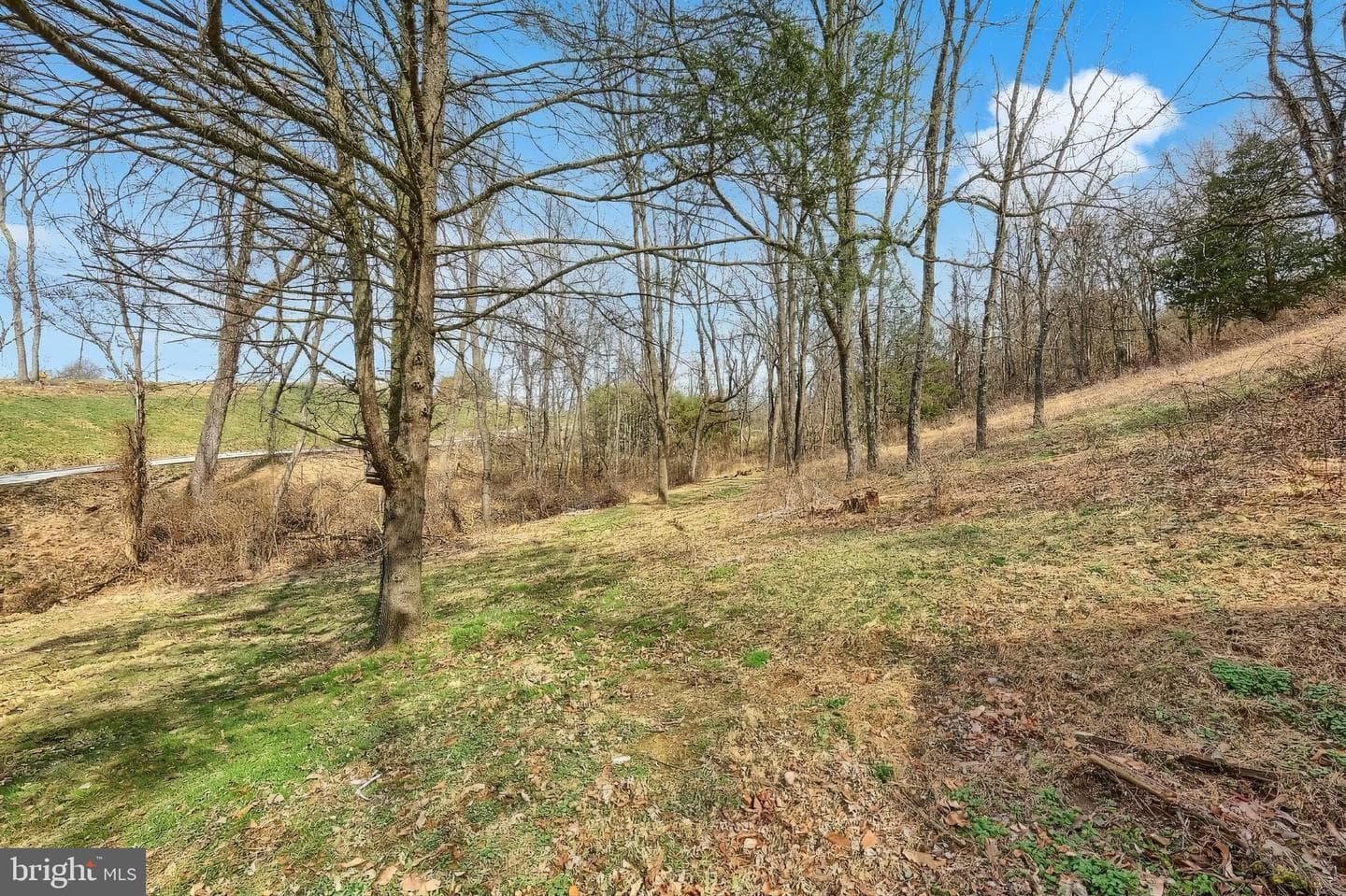 905 Chambers Road photo 4