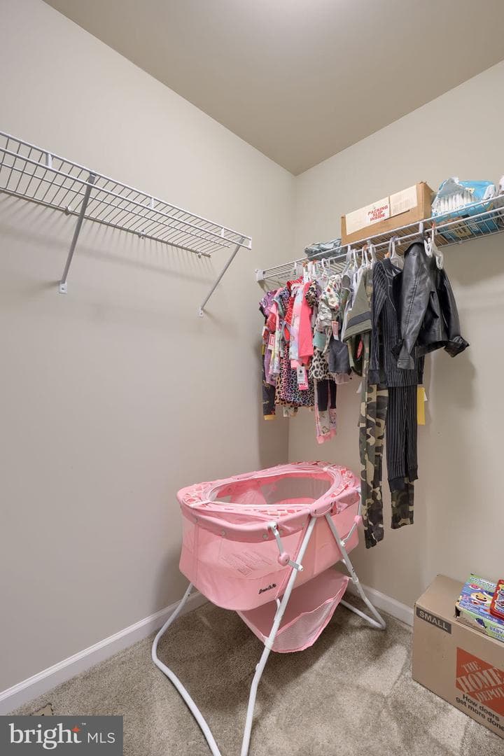 8 Ivanhoe Lane photo 55