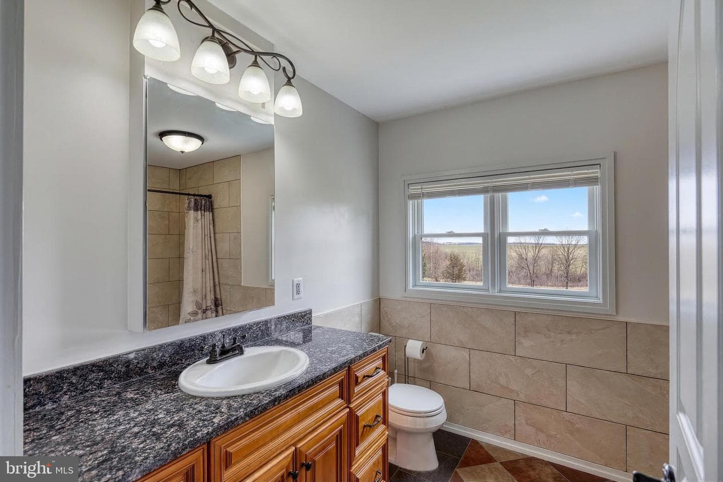 12534 Mount Olivet Road photo 44
