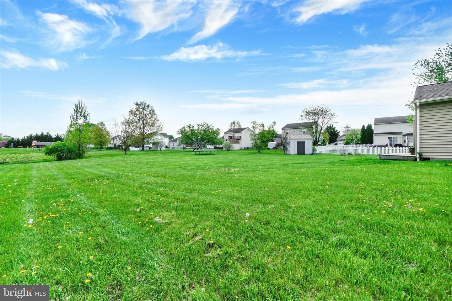 1190 Cherimoya Street photo 3