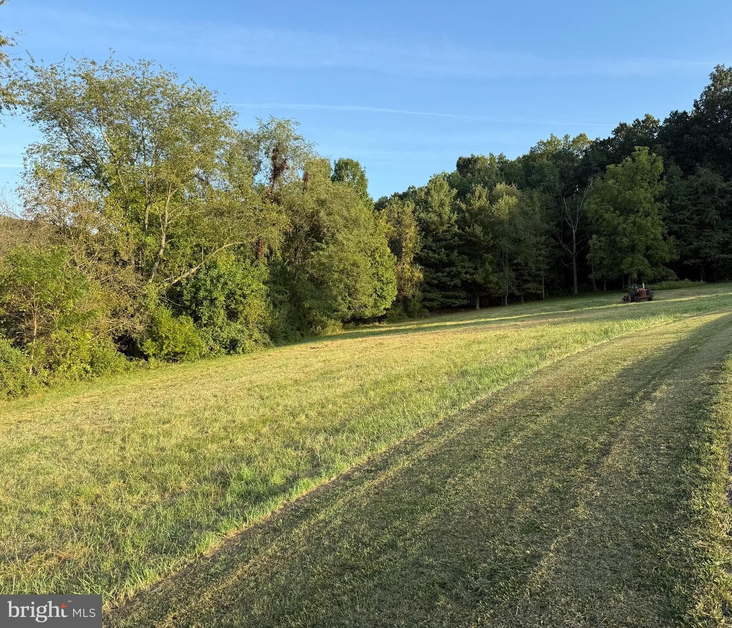 800 Kendale Road photo 67