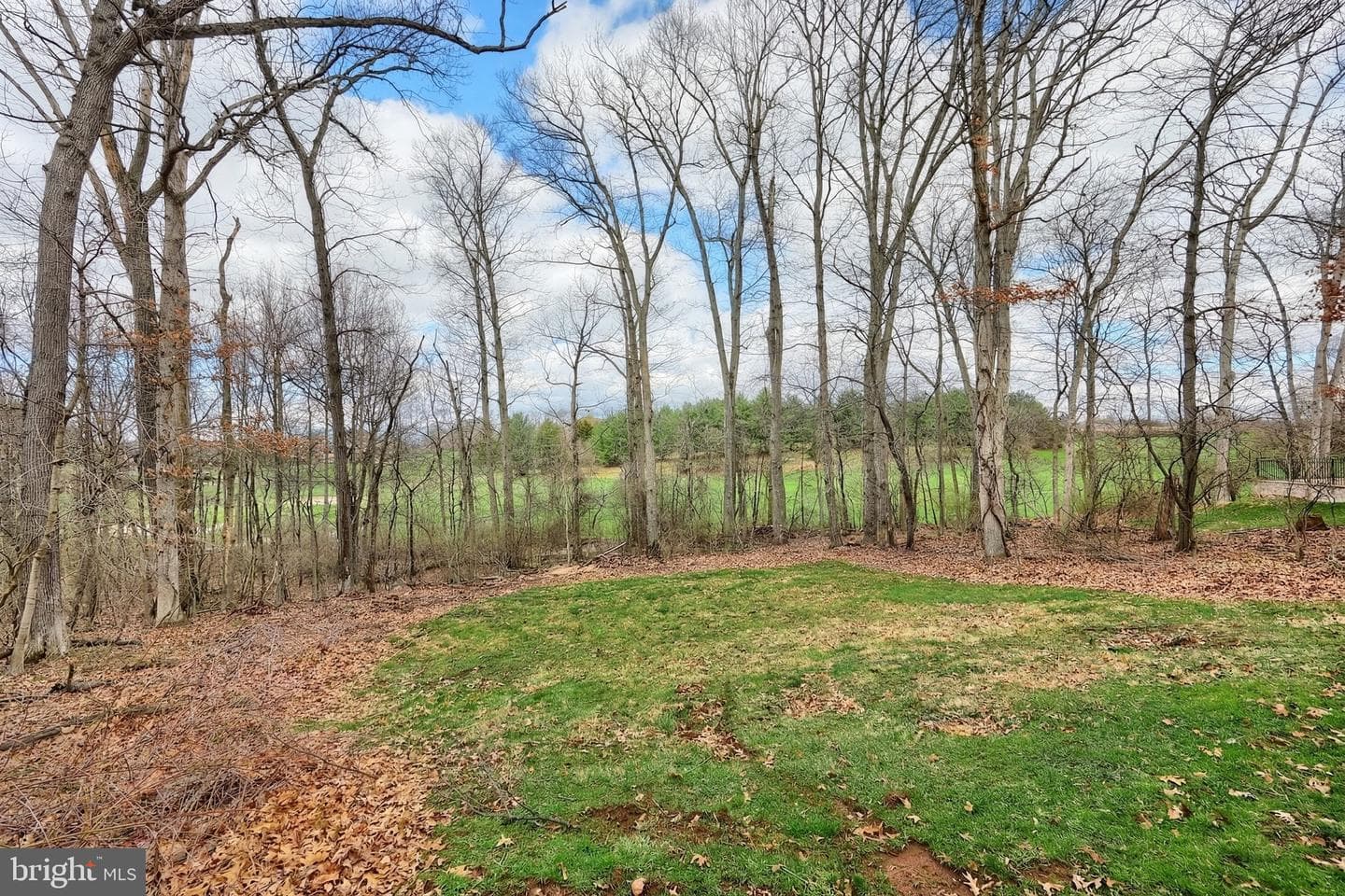 2337 Wedgewood Way photo 9