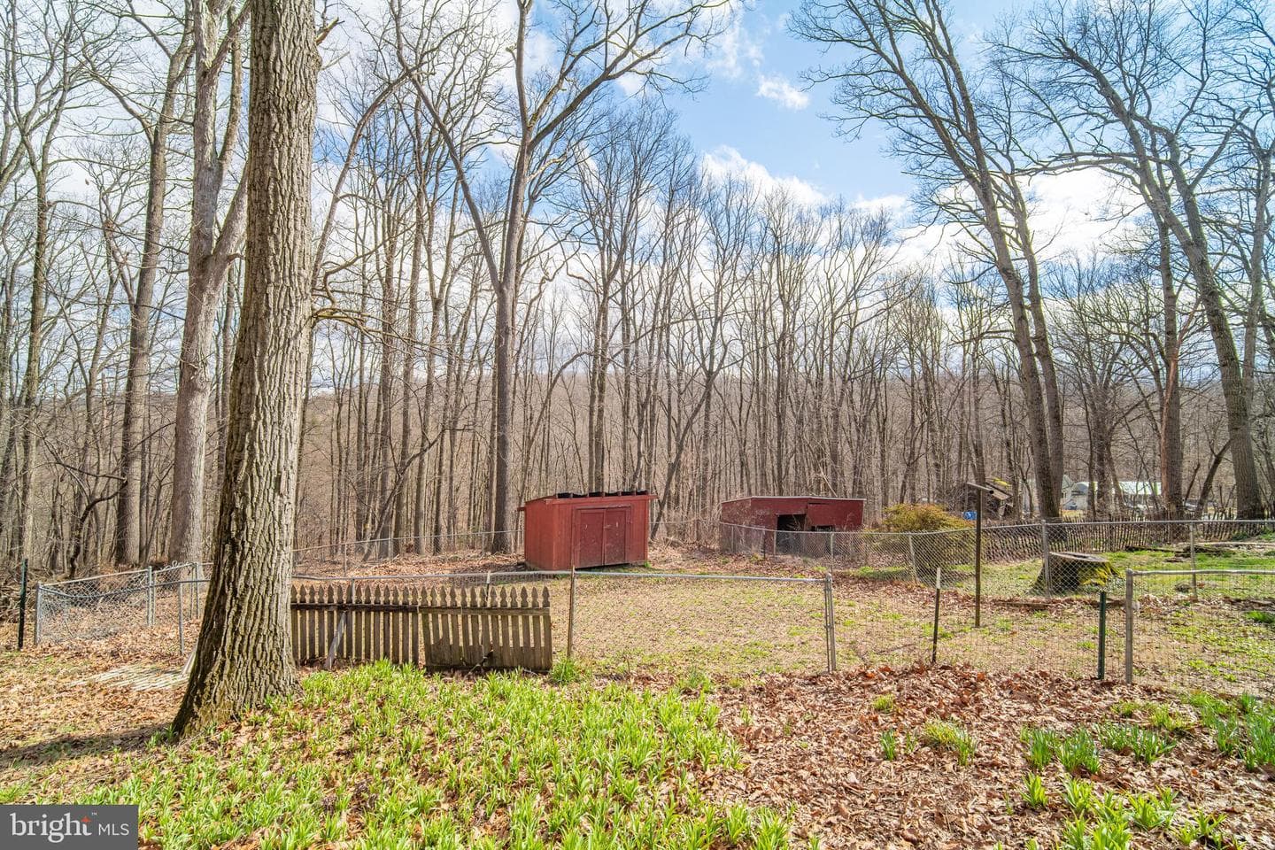 95 Massa Drive photo 26