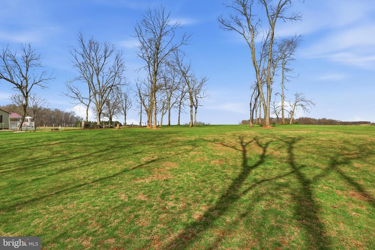 1025 White Oak Road photo 52