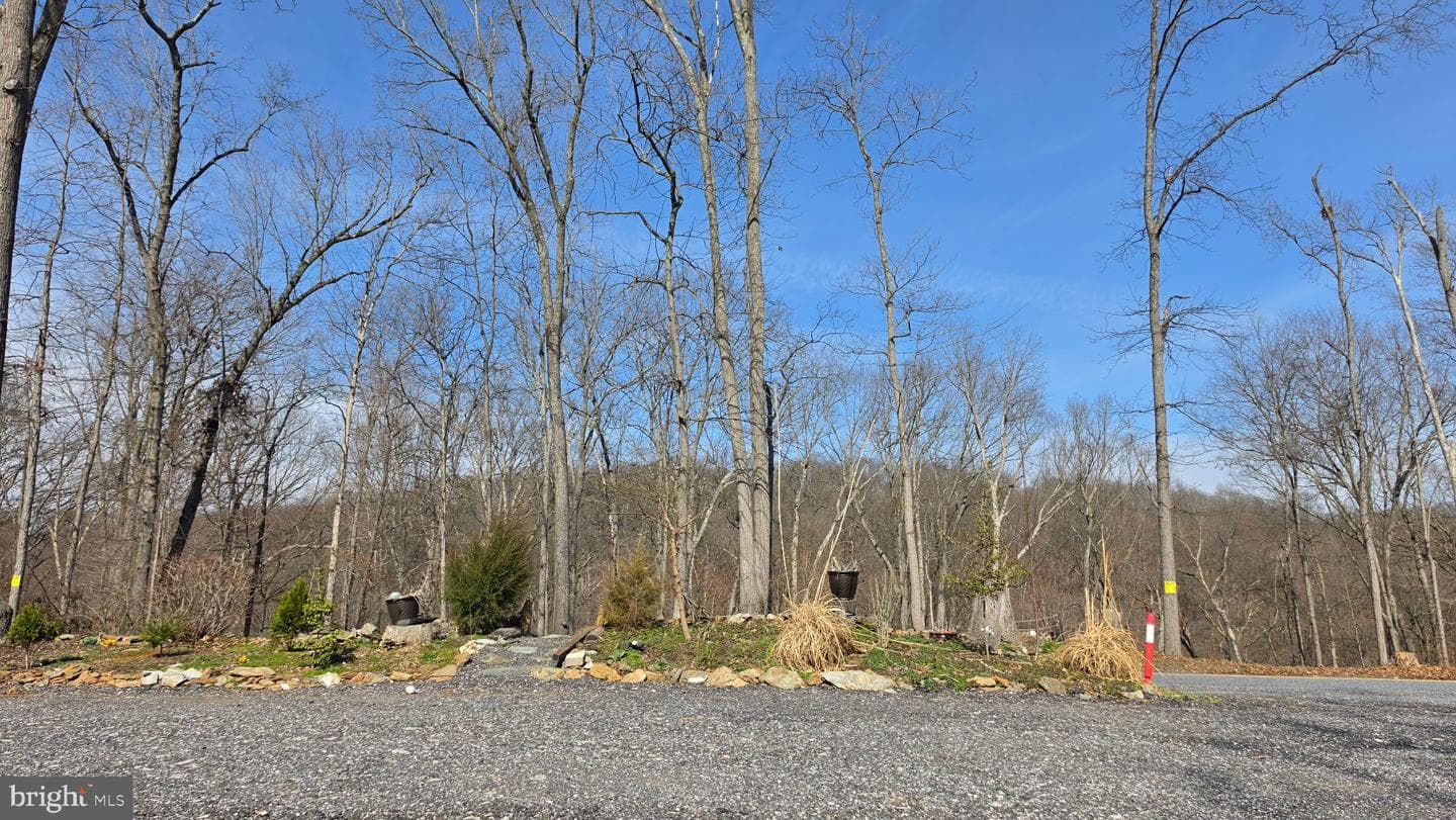 6784 Herbst Road photo 4