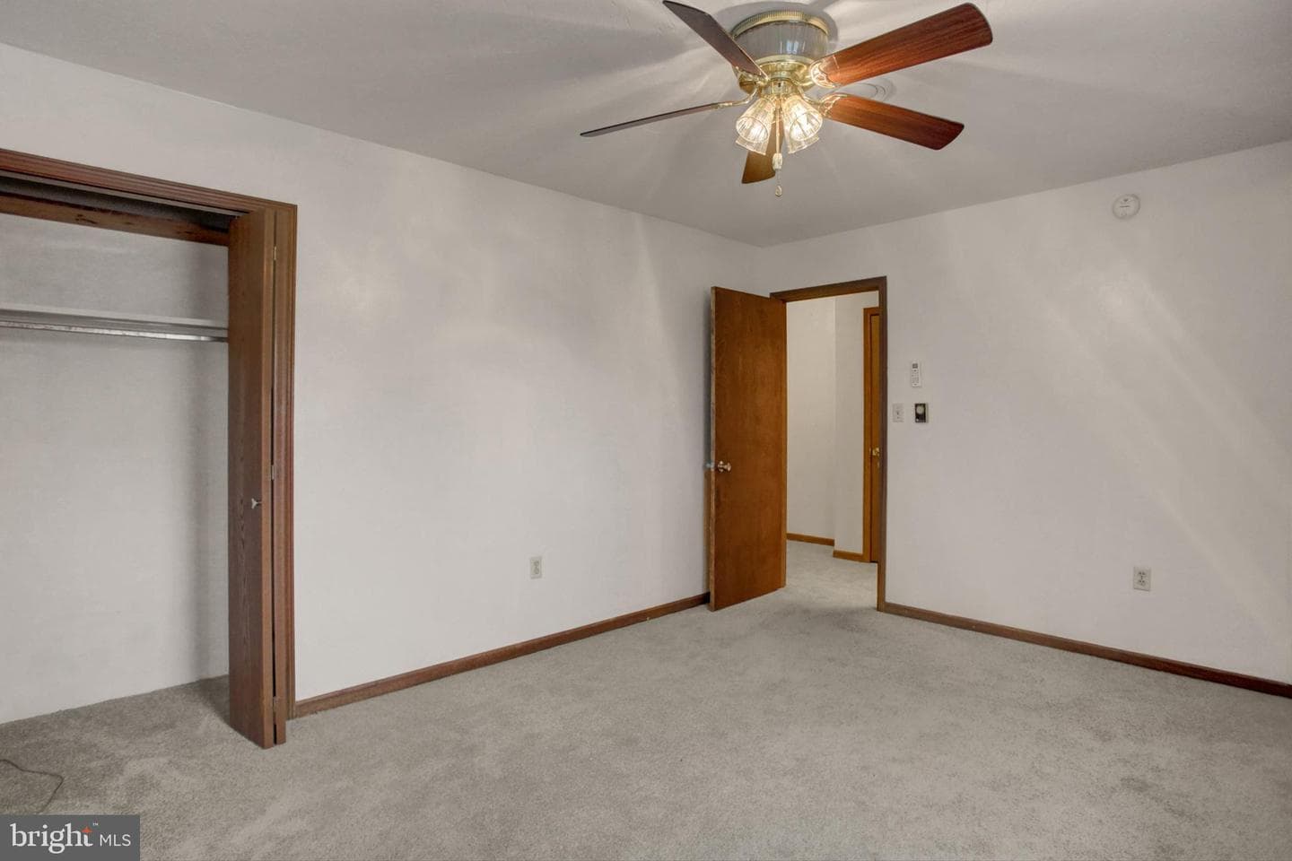 23 Oneill Avenue photo 19