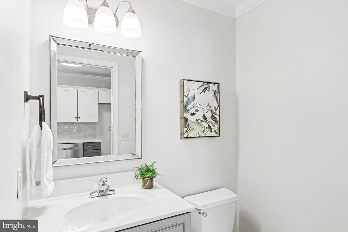 55 Burberry Lane photo 19