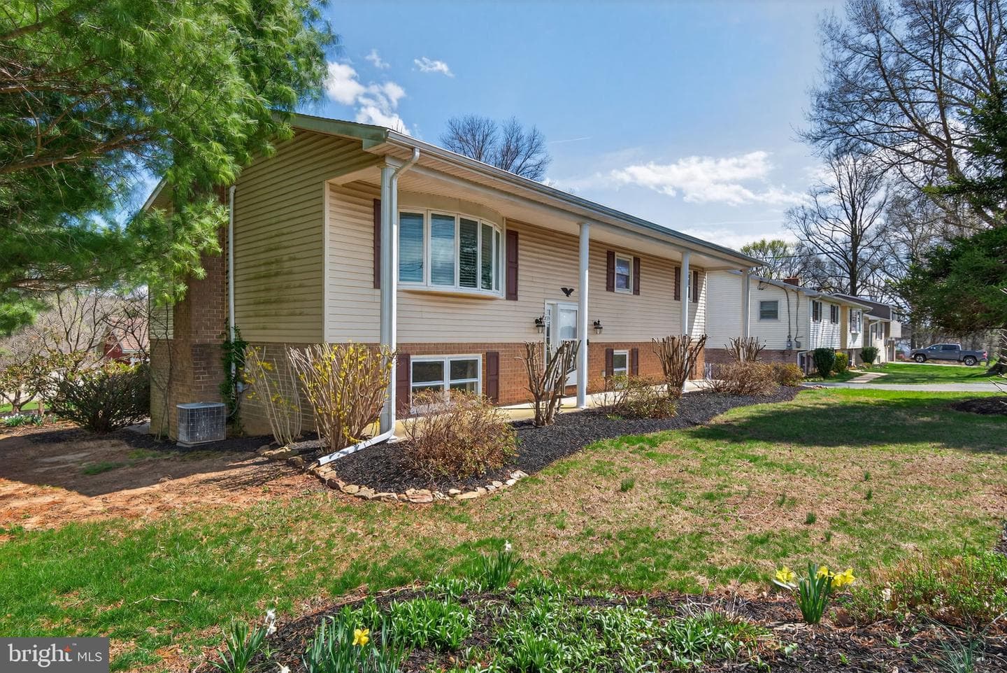 2733 Vireo Road photo 3