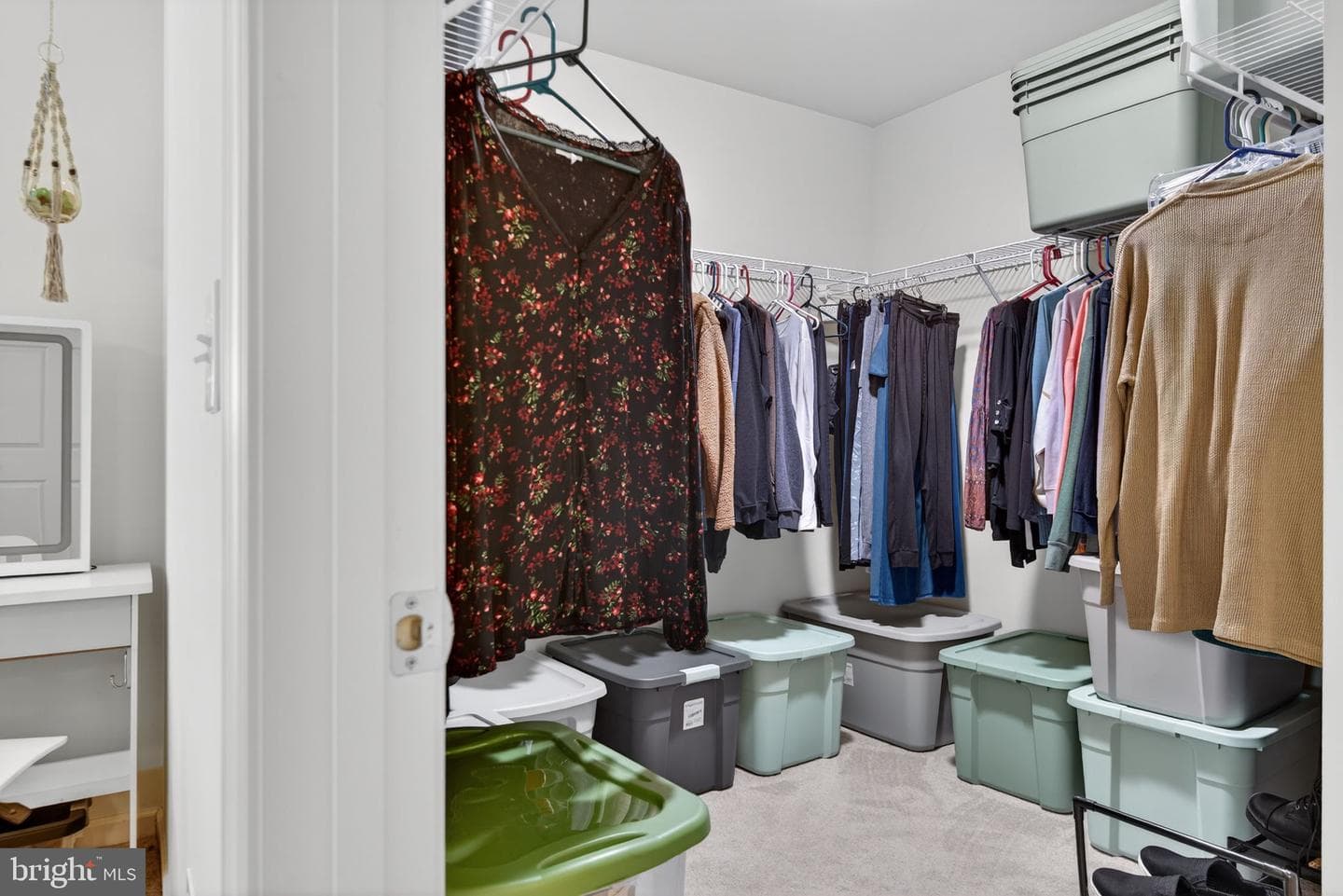 227 Palomino Way #164 photo 25