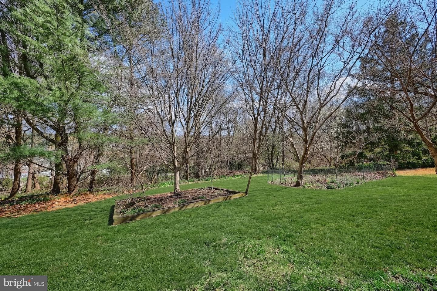 223 N 3rd Street photo 16