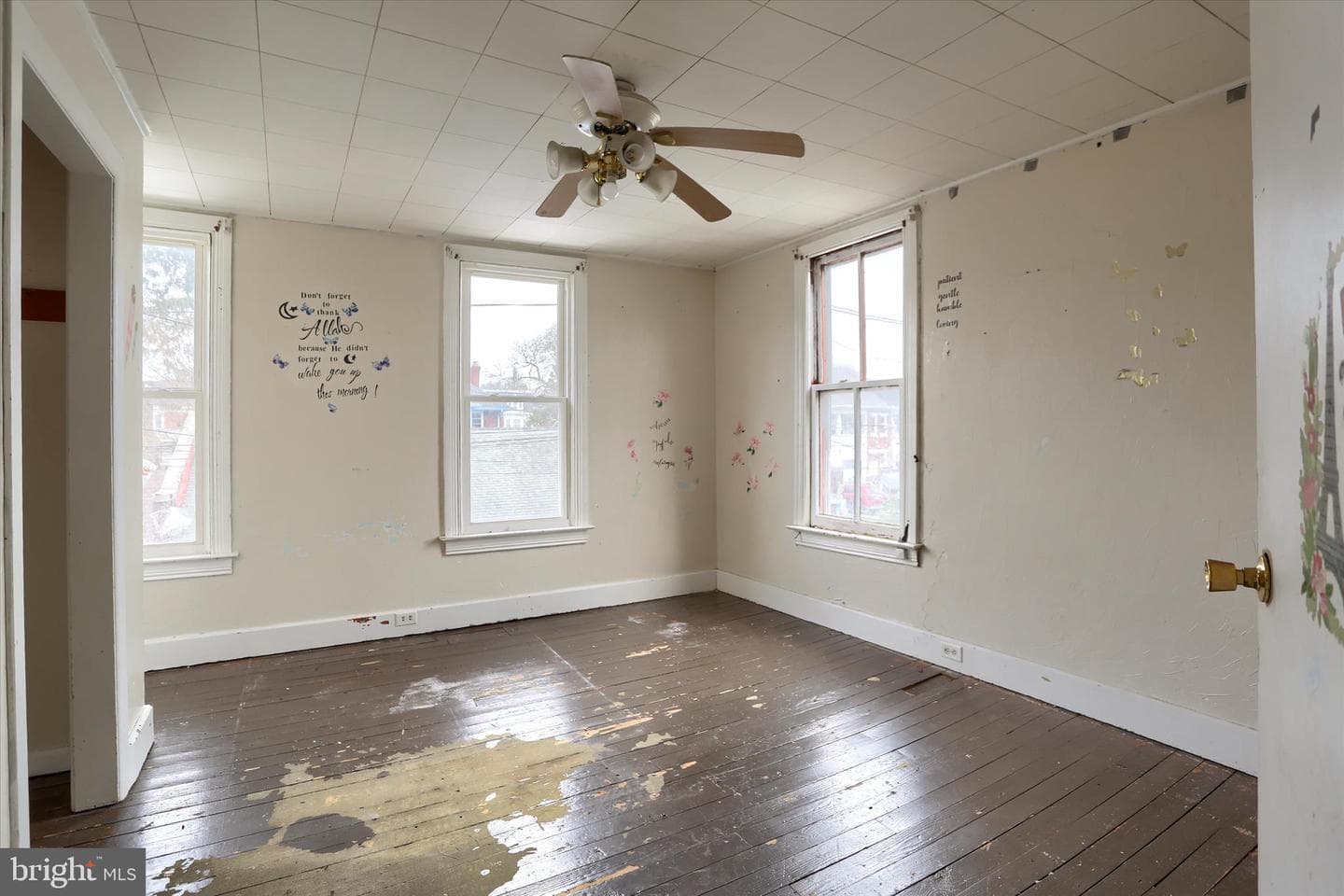 826 Fern Place photo 21