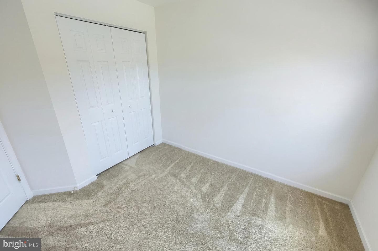 53 Zachary Drive photo 22
