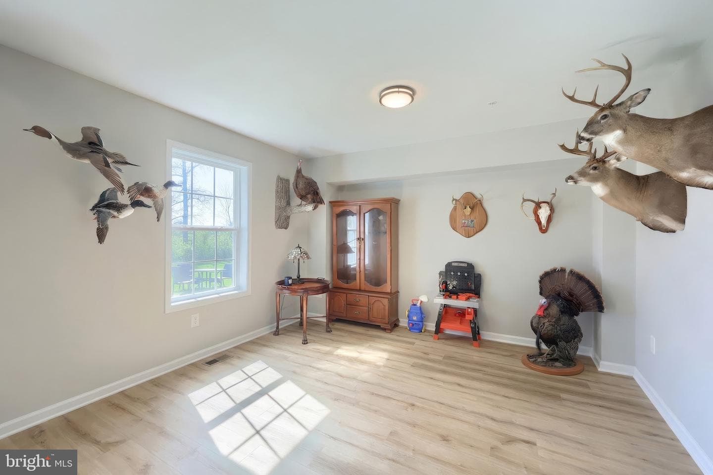 56 Coop Lane photo 7