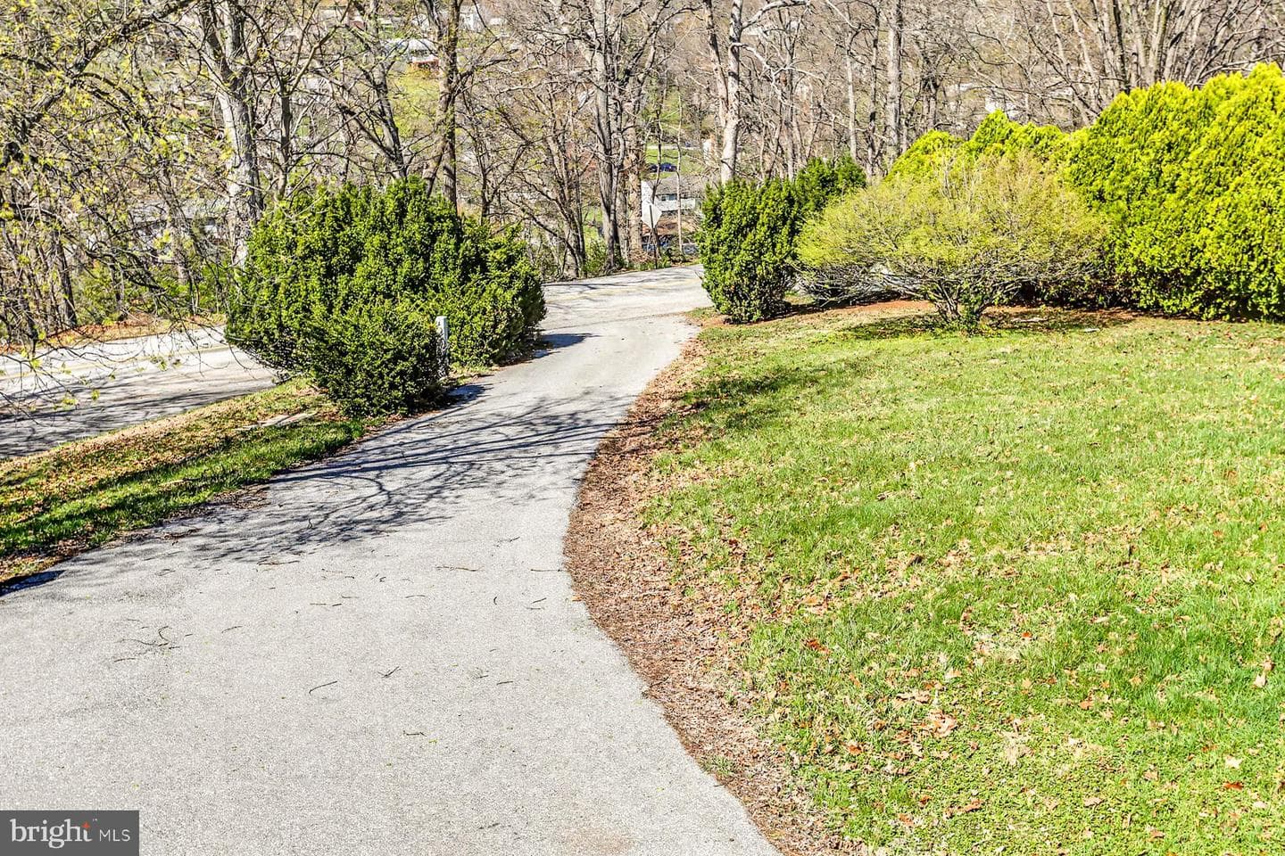 100 Hemlock Lane photo 4