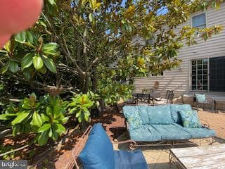 934 Castle Pond Drive photo 42