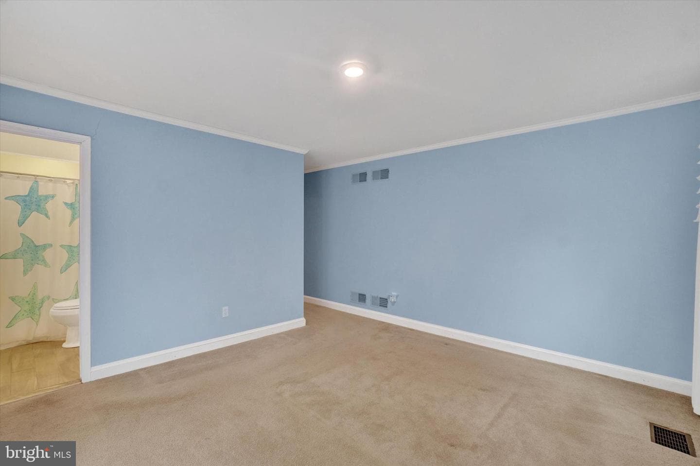 3870 Autumn Lane photo 13