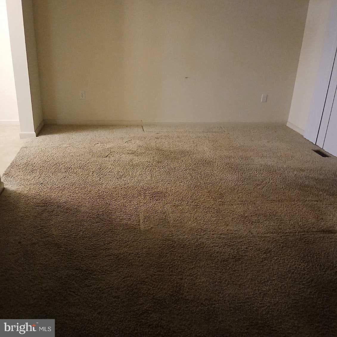 118 Scully Place photo 7