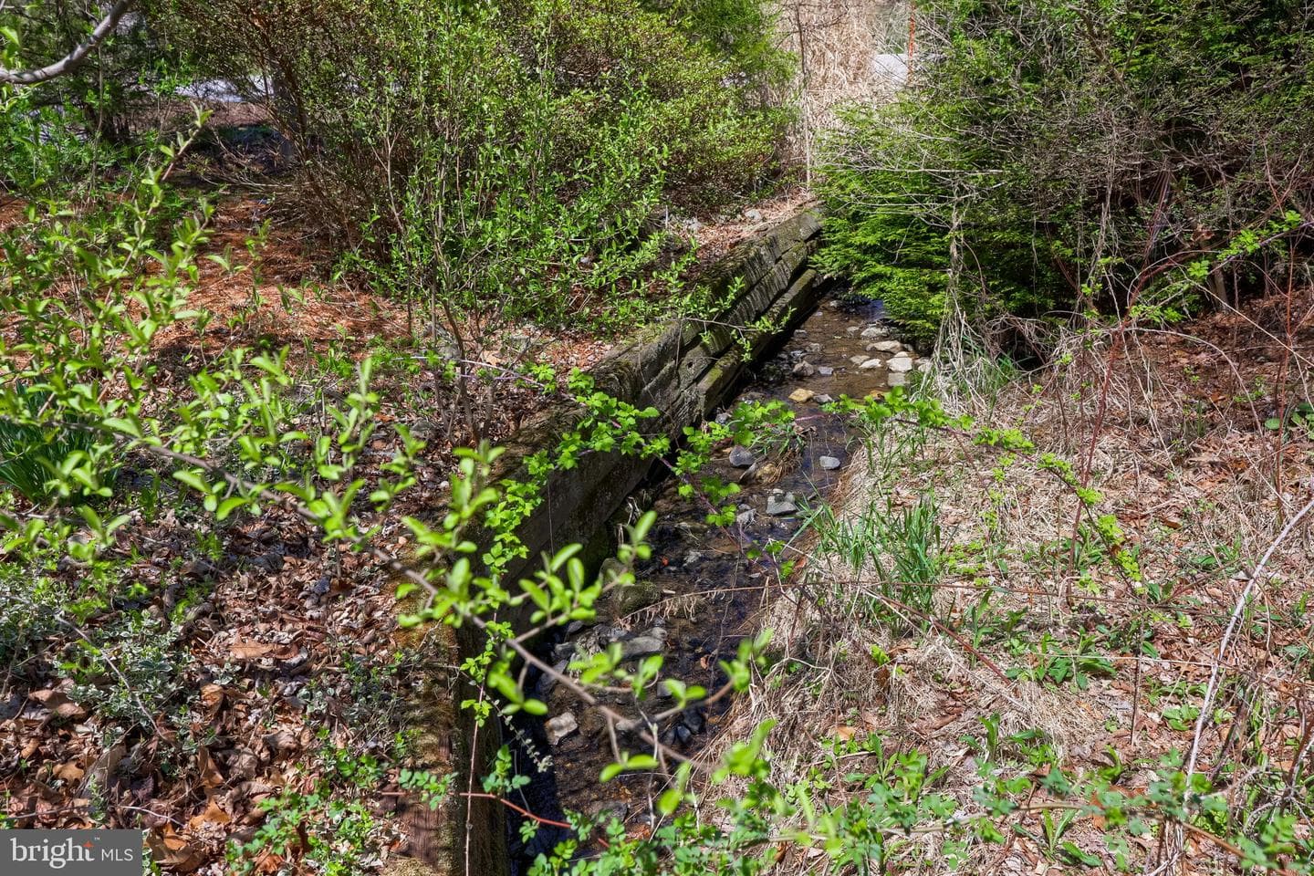 1411 S Mountain Road photo 54