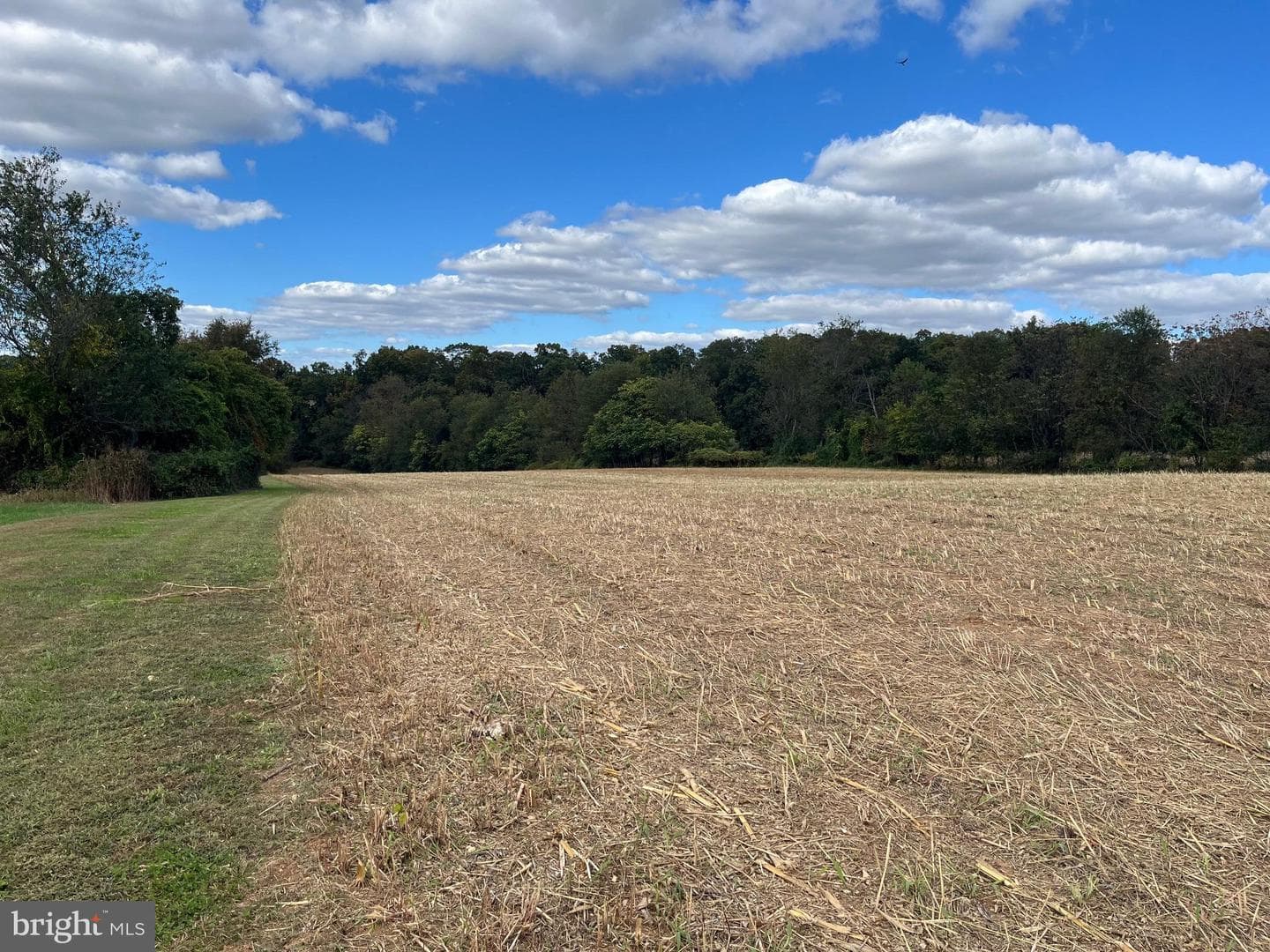 4777 Fiscal Road photo 12