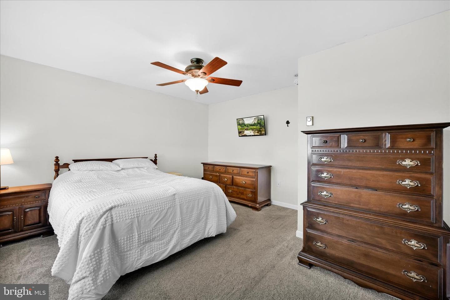 445 Scotch Pine Road photo 17