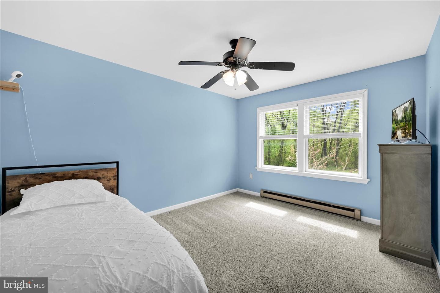 445 Scotch Pine Road photo 22