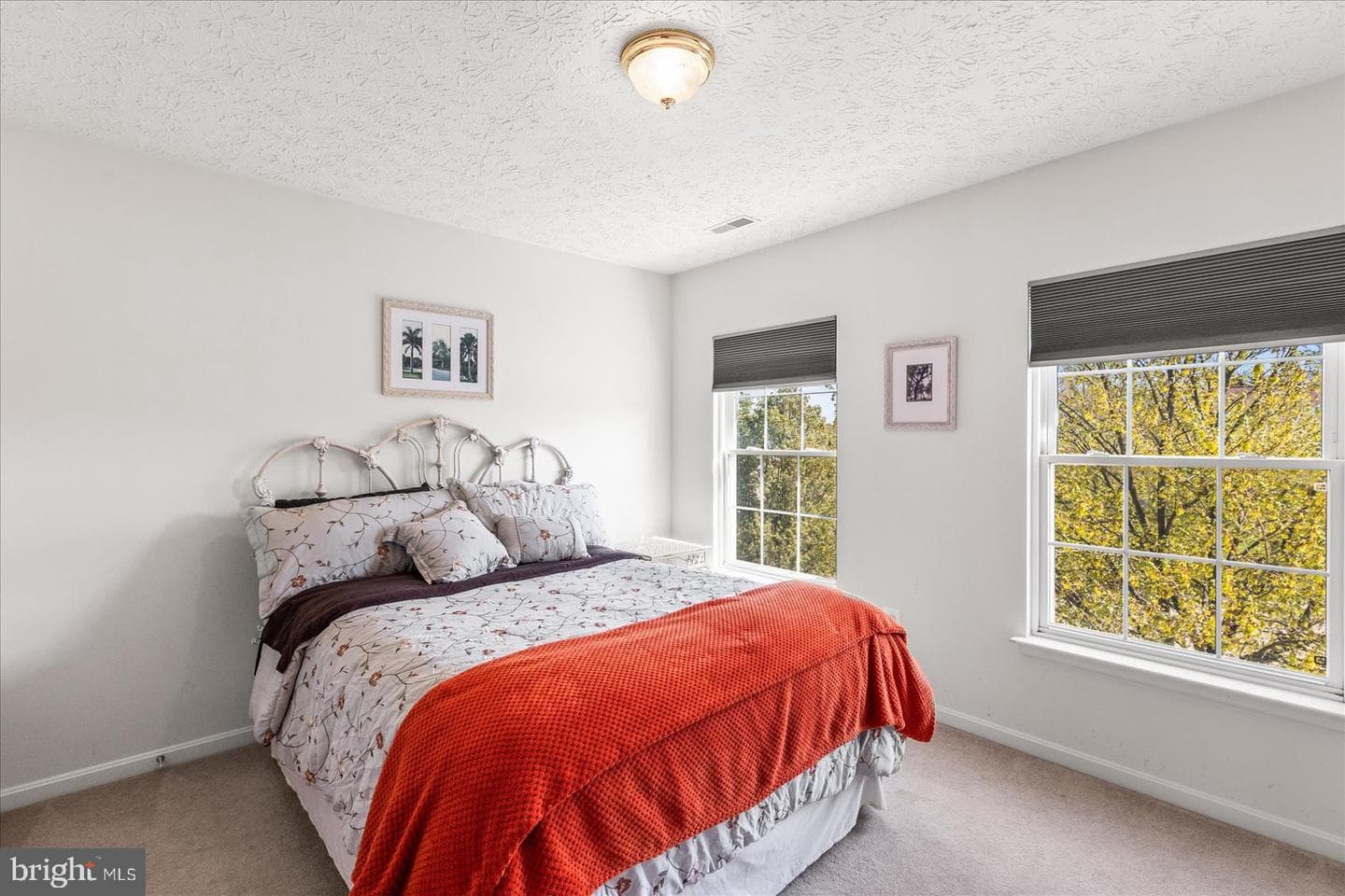 20 Sydney Drive photo 49